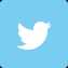 twittericon