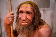 uomo di neanderthal