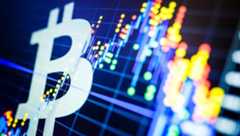 Bitcoin Profit Calculator