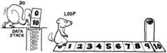 DO...LOOP definite loops execute code a certain number of times.