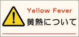 黄熱について