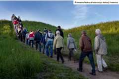 Billede fra guidet tur