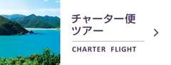 チャーター便ツアー