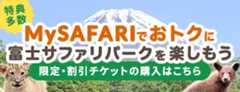 My SAFARI