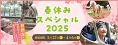 春休みスペシャル2025
