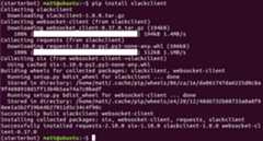 Output from using the pip install slackclient command with a virtualenv activated.