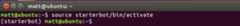 Command prompt with starterbot's virtualenv activated.