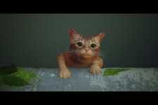 『Stray』猫ちゃんの死は悲しいが、ヒトが死ぬのも悲しい。印象的な「別れ」はなぜ生まれる?【子猫スクショあり】 画像