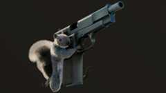 Squirrel With a Gun