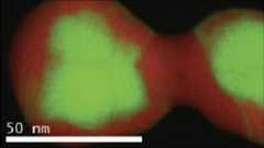 Fast simultaneous acquisition of low- and core-loss regions in the EELS spectrum from catalyst particles containing the heavy metals Au and Pd
