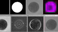 Extensible real-time data processing with Python in DigitalMicrograph