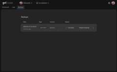 Screenshot of instance backups page.