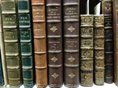 Pic. 9 Leather bound travel books on a shelf