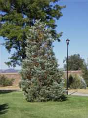 Creek Side Park Fort Collins colorado