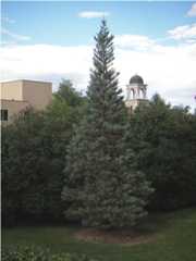 Denver CO University of Denver NE