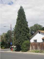 Englewood CO Pennsylvania Tufts