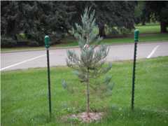 Fort Collins CO City Park