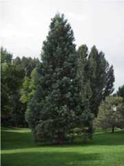 Fort Collins CO Landings Park