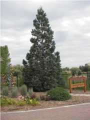 Fort Collins CO The Gardens At Spring Creek