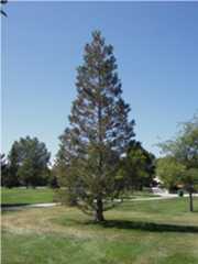 Golden Meadows Park Fort Collins colorado