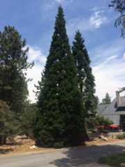 Lake Arrowhead California