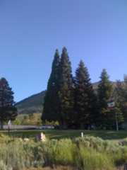 Leevining mobile home park