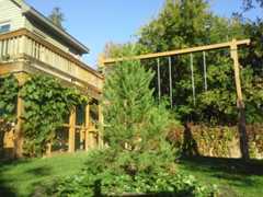 Tim Orent Sequoia 10-15-13