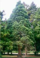 haverford college PA