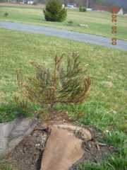 jim PA driveway 4_10