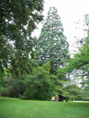 manistee 2010 2 longview