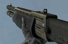 Shotgun
