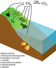 Diagram of methane sources and sinks