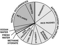 Pie chart showing sources of methane