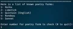 poetry-checker Demo