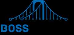 Smart Contract Audit & Security Review, Boss Bridge