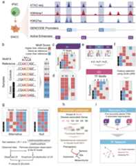 Schematic overview of MARVEL