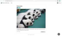 Web Preview