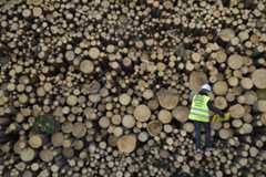 Greenpeace Pictures of the Week