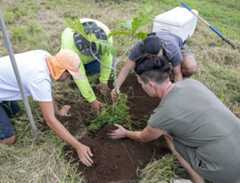 Food for Life Farm Visit & Breadfruit Tree Planting in Hawaii. © Tim Aubry / Greenpeace