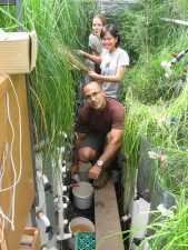 Giving Dialysis To Our Cities' Aquifers