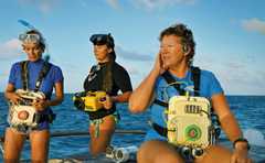 Looks like Bill Murray and the crew from Steve Zissou: Denise Herzing and her team listening to dolphins