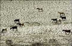 Cyprus gets new desalination plant with Mekorot Israel’s know-how