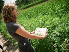 Hemp Textiles Pave the Way for a Regenerative Economy 