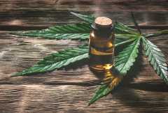 CBD, the echinacea of 2020 CBD, the echinacea of 2020