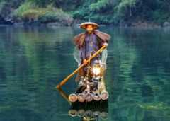 Fermenting fish to reduce cholesterol