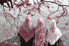 No kissing the kaaba at this year’s hajj