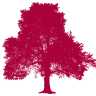 Tree icon