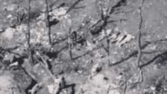 Imagini șocante cu momentul în care cinci prizonieri de război ucraineni ...