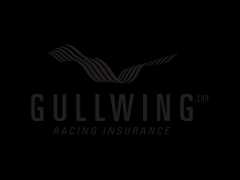Gullwing Logo