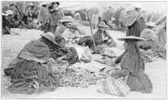 Native Druggists in the Plaza of Sicuani